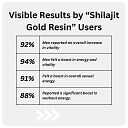Shilajit Gold Resin (Pack of 1)