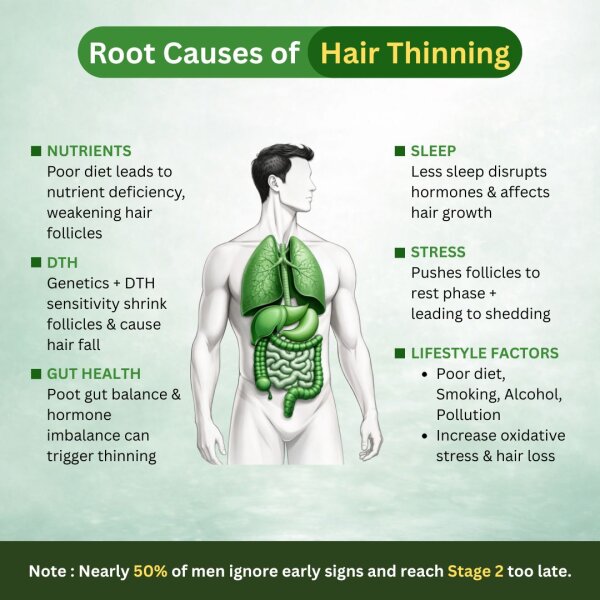 Stage 4 : Hair fall solution